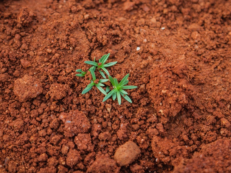恒美科技：揭开土壤与肥料之间的秘密